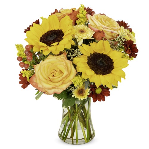 BF853-11KL-07270-1000